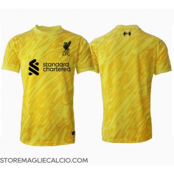 Liverpool Portiere Maglia Gara Terza Repliche 2024-25
